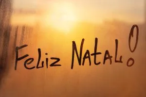 Leia mais sobre o artigo Natal está chegando, é hora de se organizar para as festividades
